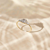 Celia Diamond Ring - 0,68ct Salt & Pepper Diamonds