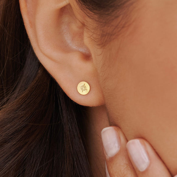 Compass Studs