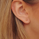 Aurelia Studs