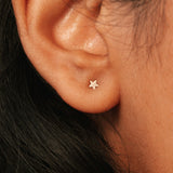 Tiny Star Studs